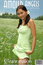 Free erotic girls teen
